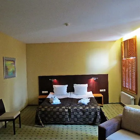 Hanza Hotel 3*